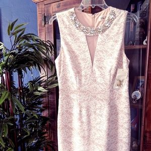 Baby Pink & White Lace Eliza J Cocktail or Derby Dress Size 8
